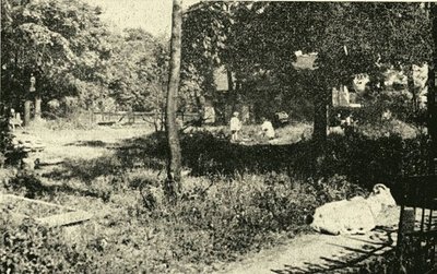 Vaikai žaidžia miesto kapinėse. Nuotrauka iš laikraščio „Memeler Dampfboot“, 1958 m. liepos 5 d.