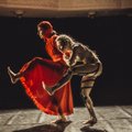 Ukrainos šokio menininkai: karas paaštrina gyvenimo pojūtį