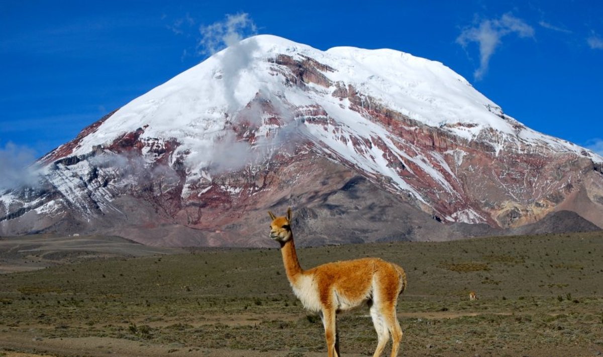 Čimboraso ugnikalnis Andų kalnuose