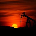 Naftos kainos nedrąsiai stiebiasi