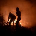 Лесные пожары в Испании и Португалии унесли десятки жизней