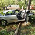 Šakių r. per avariją nulaužtas medis moterį įkalino automobilyje