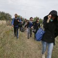 Поток мигрантов в Венгрию увеличился, несмотря на барьер на границе