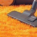 Veiksmingos naminės priemonės, kurios sugrąžins kilimui spalvą ir pašalins dėmes