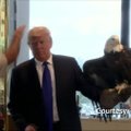 Nufilmuota: D. Trumpas - prieš agresyvų baltagalvį erelį