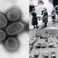 Prieš šimtą metų mirusių vyrų plaučiuose aptikti virusai pateikė intriguojančių faktų apie 1918-ųjų pandemiją, nusiaubusią visą pasaulį