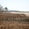 Seimas – už draudimo parduoti žemę užsieniečiams pratęsimą