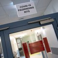 Сбежавшую из больницы носительницу COVID-19 предлагают приговорить к общественным работам