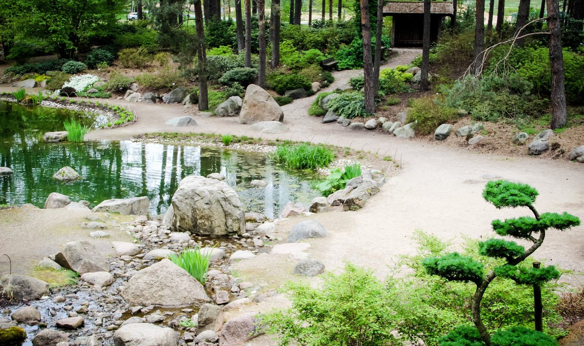 Japoniškas sodas VU botanikos sode