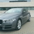 Naujojo „Jaguar XE“ testas: alternatyva vokiškiems sedanams