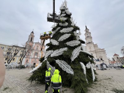 Kauno Rotušės aikštėje kyla plunksnuota Kalėdų eglė, Nerijaus Povilaičio nuotr.