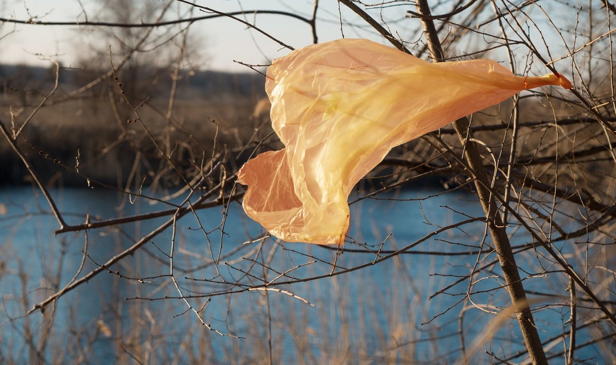 Plastikinis maišelis gamtoje