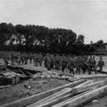 Lietuva I-ojo pasaulinio karo pradžioje: stebėjo, kaip skerdimui ruošiamos didžiausios žmonių minios