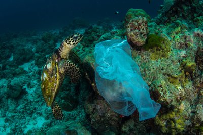 Plastikinis maišelis vandenyne