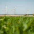Wind power accounts for half of Lithuania's H1 electricity output