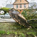 Smarkus vėjas Lietuvoje vartė medžius: ugniagesiai jų šalinti vyko per 40 kartų