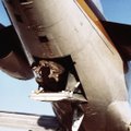 Neįtikėtinas lėktuvo užgrobimas: įvykdžius reikalavimus, užpuolikas iššoko iš „Boeing 727“