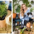 Gėlininkė: šių žingsnių persodinant kambarinius augalus nevalia praleisti