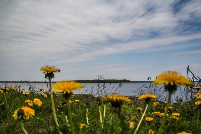 Pakalniškių pažintinis takas