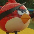 Didžiojoje Britanijoje atidarytas pirmasis teminis „Angry Birds“ pramogų parkas