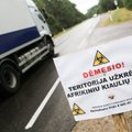 В Рокишкском районе Литвы выявлен новый очаг чумы свиней
