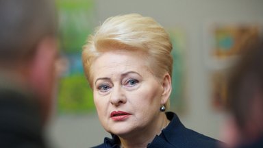 Duda, Grybauskaitė i szefowie państw wschodniej flanki NATO spotkają się w Bukareszcie