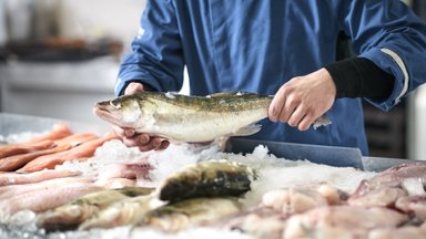 Seime registruotas siūlymas didinti baudas žvejams verslininkams ir brakonieriams