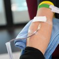 V. Kurpienė: kaip maitintis kraujo donorams