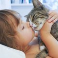 Meilė gyvūnams pavojinga: kokiomis ligomis galima apsikrėsti nuo šuns arba katės