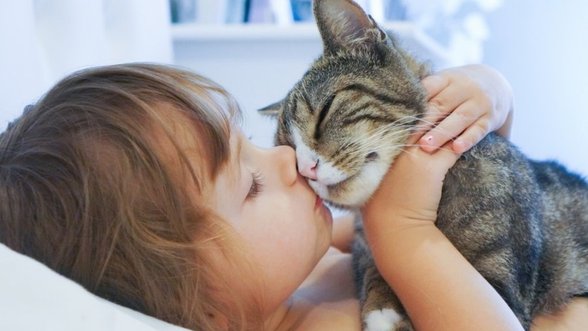 Meilė gyvūnams pavojinga: kokiomis ligomis galima apsikrėsti nuo šuns arba katės