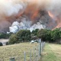 Pietų Afrikoje dėl audros plečiantis gaisrams evakuota tūkstančiai gyventojų