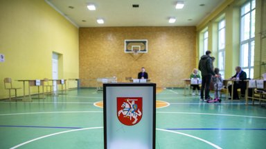 Kaip rinkosi prie balsadėžių skubėję lietuviai: favoritą pasirinkti sunku nebuvo