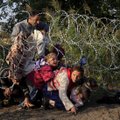 Teismai telkia jėgas pabėgėlių byloms: jų skaičius gali išaugti ne mažiau nei 8 kartus