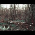Šalies miškų grožis atsiveria reperio LT vaizdo klipe „Girios"