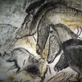 Urviniai žmonės gyvūnus piešė tiksliau nei šių laikų menininkai