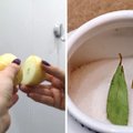 Kodėl močiutė patrina veidrodį svogūno puse, o į cukrų įdeda lauro lapą – 22 gudrybės buities srityje iš senų laikų