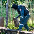 Neįtikėtina Veronikos gudrybė: Vilniaus policijai teko gerokai paplušėti