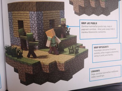 Skaitytoja įžvelgė galimus „Minecraft“ keliamus pavojus.