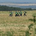 Lithuania backs call for UN tribunal on MH17 crash