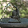 В столице запускают в эксплуатацию 40 стационарных питьевых фонтанчиков