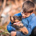 Šunų dresuotojas šeimoms su vaikais primygtinai pataria rinktis tik šių trijų veislių šunis