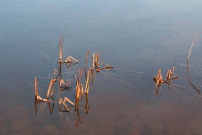 Atvėsęs ežerų vanduo - iki ledo užsidėjimo trūksta labai nedaug