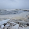 Kuršių marių ledą vėl plėšo vėtra ir ardo lietūs
