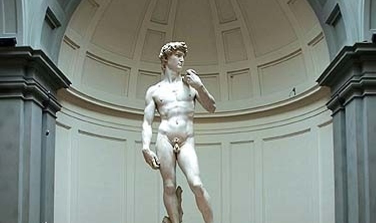 Michelangelo "Dovydas"