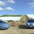 Sicilijoje policija konfiskavo plastikiniuose tuneliuose augintas kanapes
