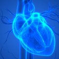 Keli organizmo signalai perspėja, kad jūsų širdis – nesveika: patarė, kaip jai padėti