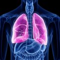 Plaučius įmanoma išvalyti: 7 natūralūs būdai, kaip tai padaryti