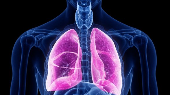 Plaučius įmanoma išvalyti: 7 natūralūs būdai, kaip tai padaryti