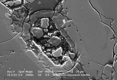 Ląstelę primenanti struktūra meteorite iš Marso (Williamsono centro nuotr.)