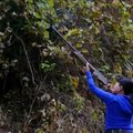 Japonijoje sparčiai mažėja medžiotojų, tad šautuvus į rankas vis dažniau ima moterys